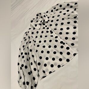Zara Polka Dot Button-Up Cropped Blouse
